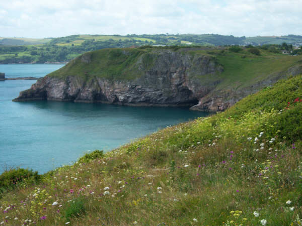 Berry Head